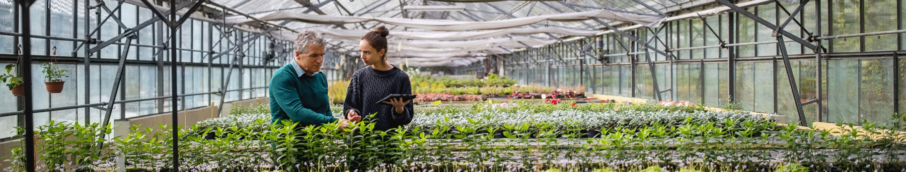 Zrównoważony rozwój i środowisko