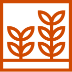 Climate change scenario analysis