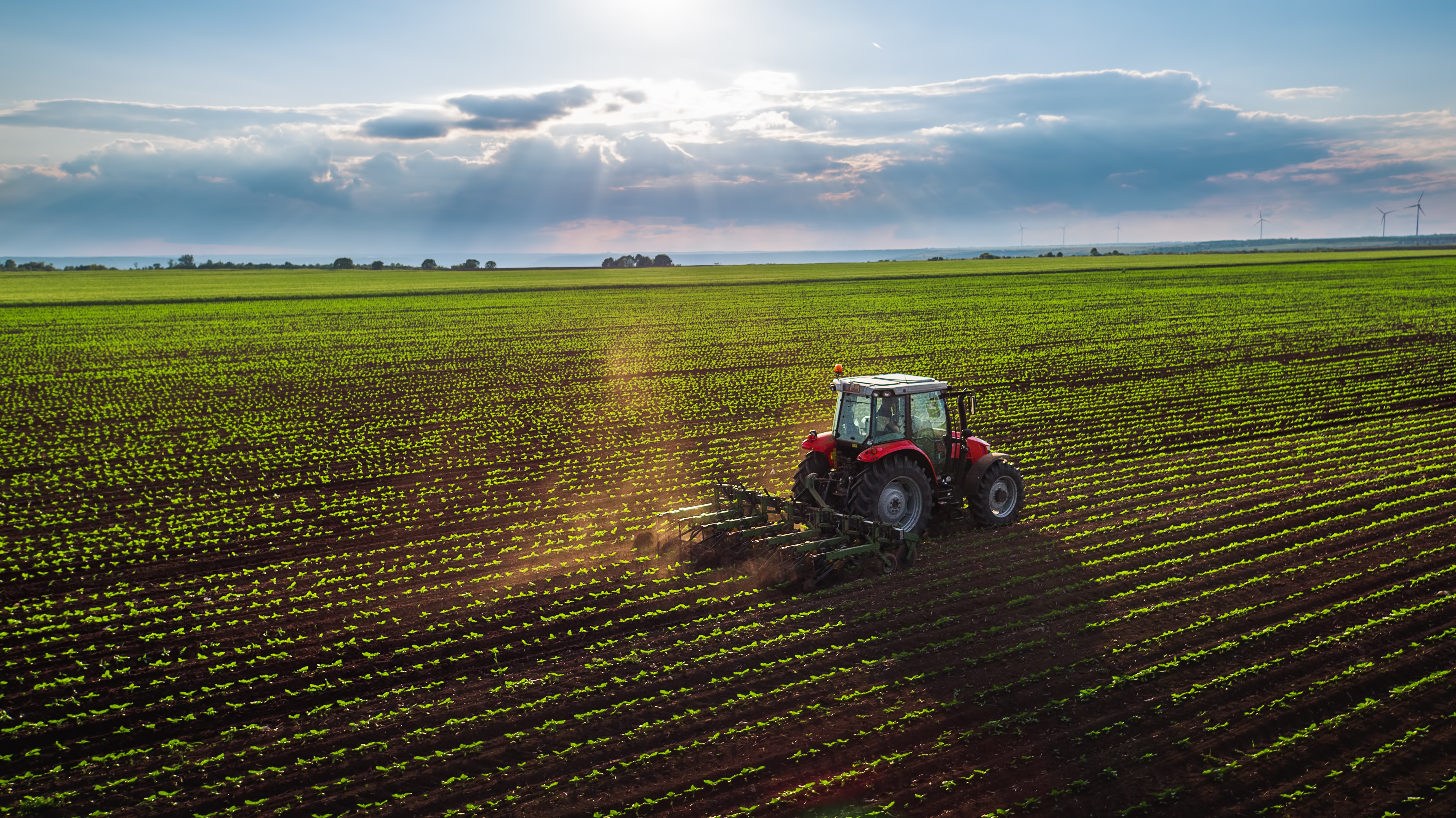 A tractor ploughing through the field and tending the crops.
