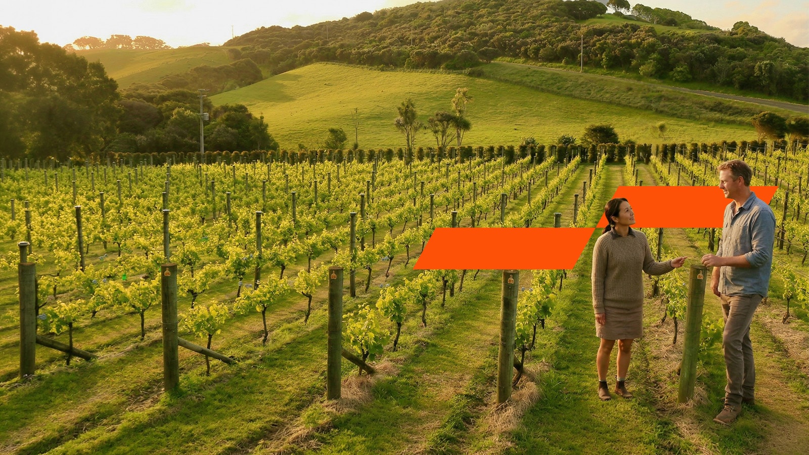 Two individuals talking in front of a vineyard
