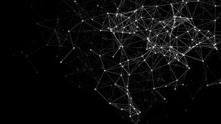 New Zealand CEO Survey 2018